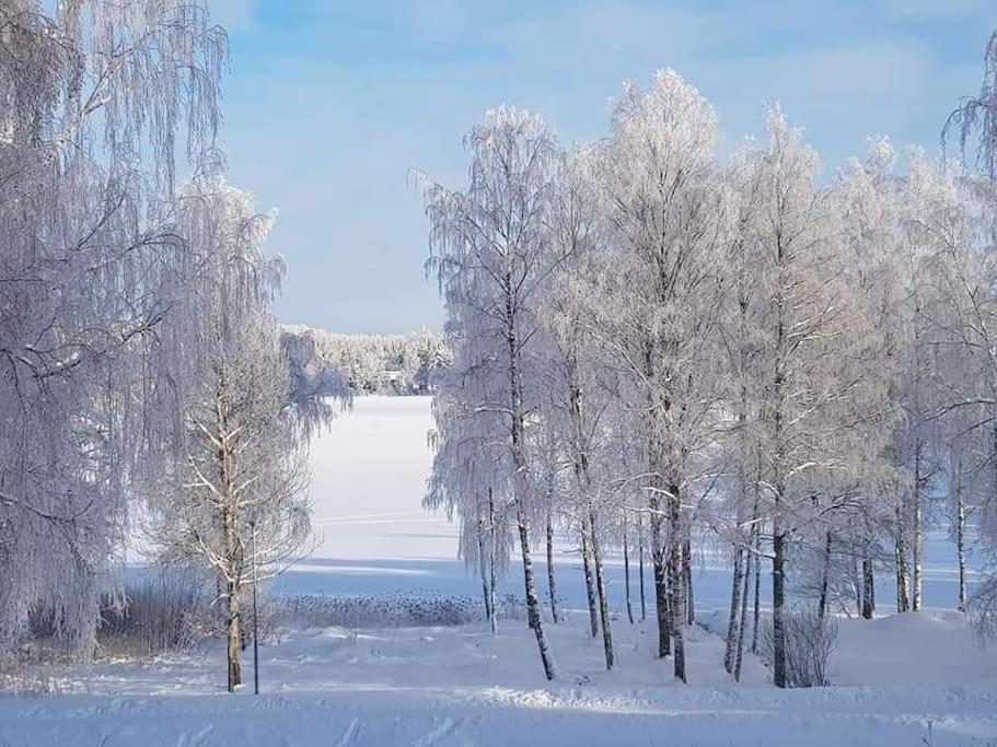 Loft By The Lake Asunto Omakotitalon Alakerrassa Ylojarvi المظهر الخارجي الصورة